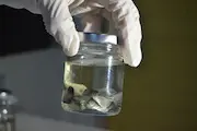 Ejemplo 1