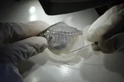 Ejemplo 3